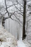 201212281249-AJS_5730.jpg